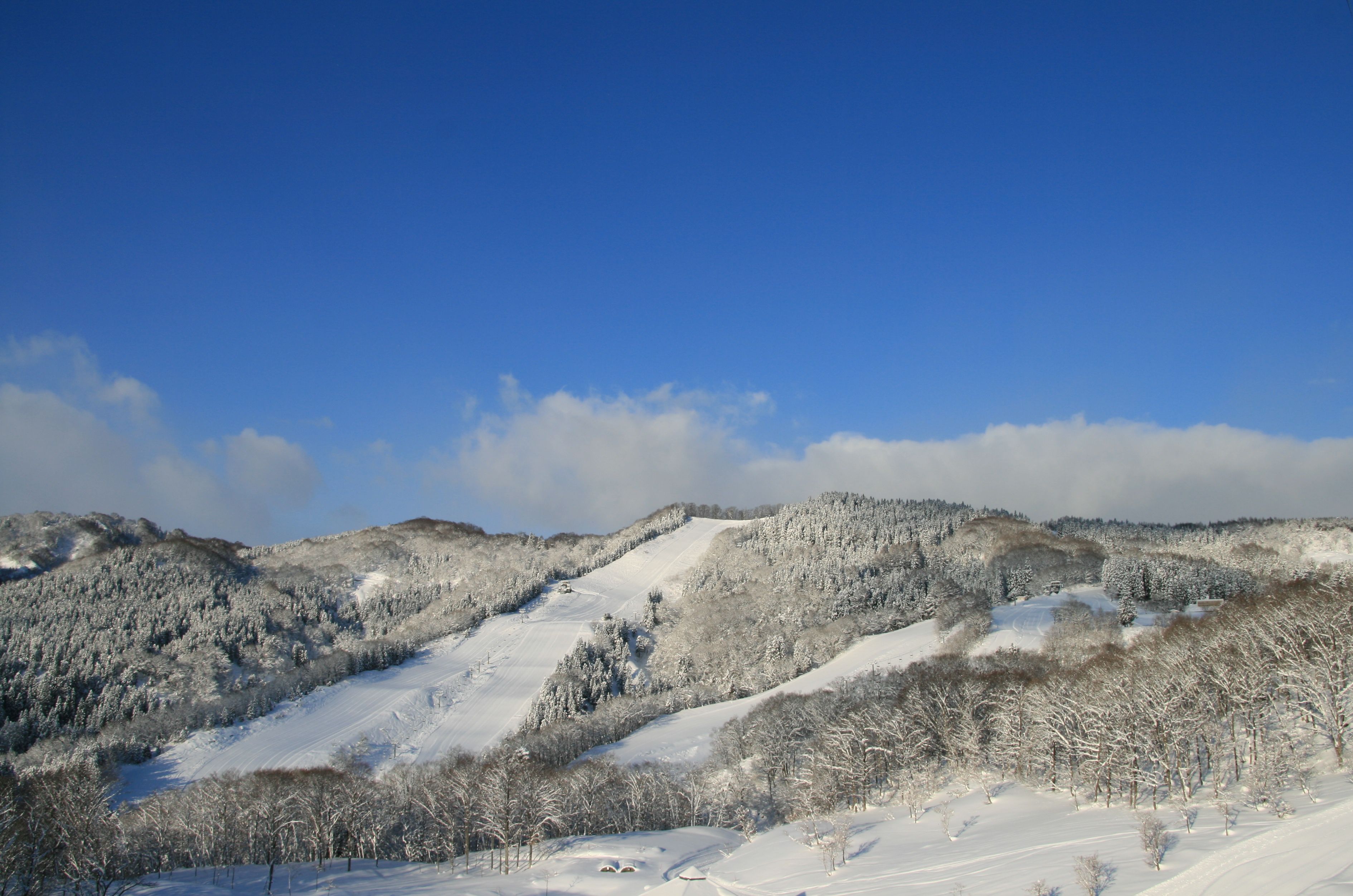 ��2025ǯ12���Asahi�����ѥ������쳫��/���������