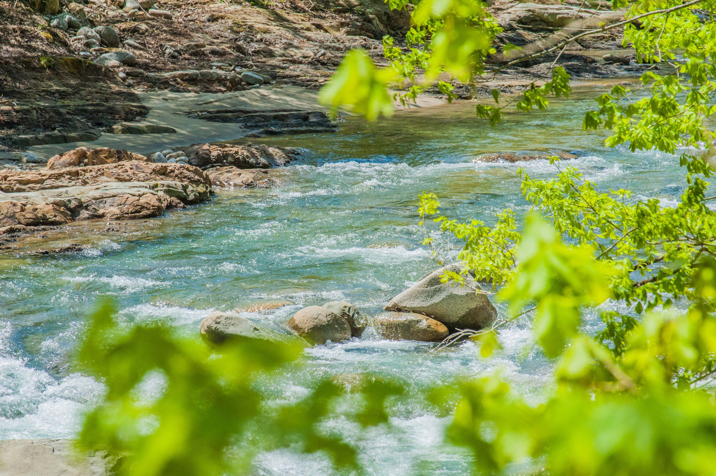 ī�����ë 3