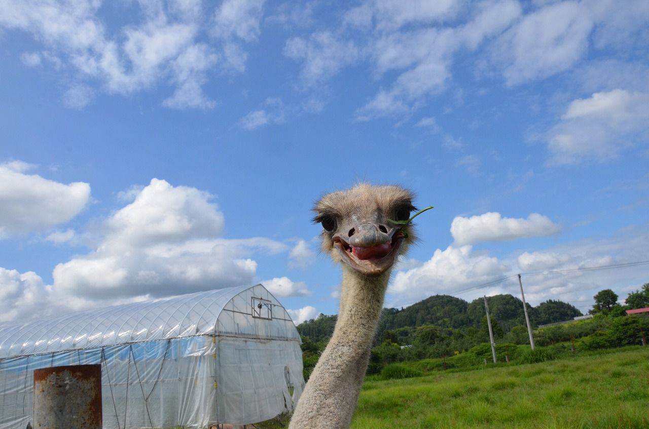 �������ȥ�å�Ÿ����