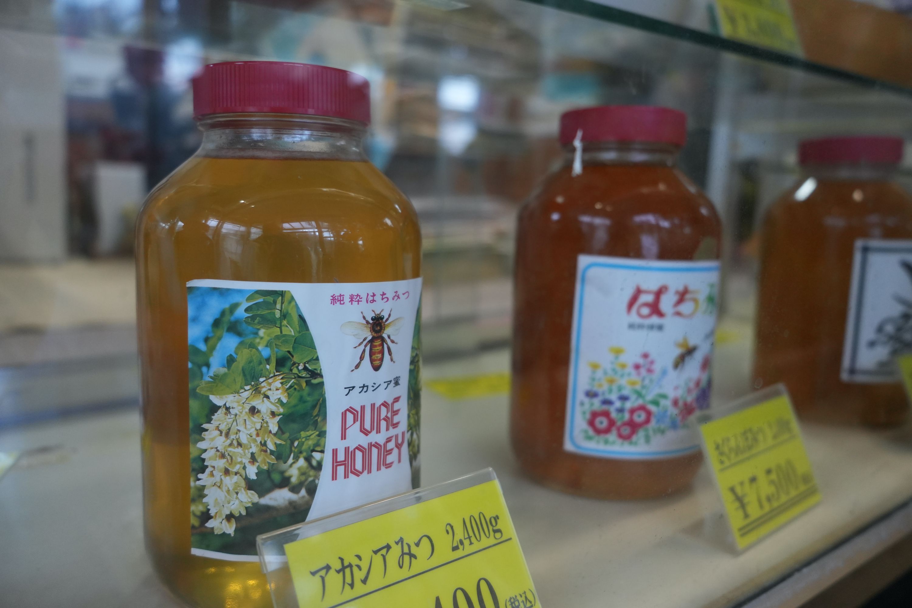 �ڤϤ��ߤġۡ�¢���ߤĤФ��� 3